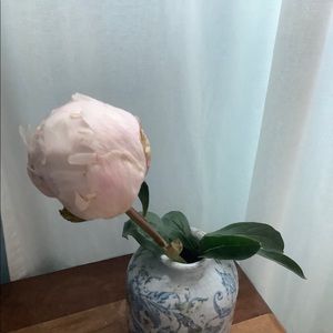 Meet your Posher, Ela